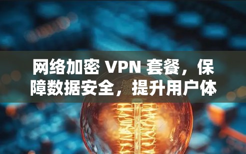 网络加密 VPN 套餐，保障数据安全，提升用户体验