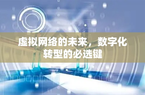 虚拟网络的未来，数字化转型的必选键