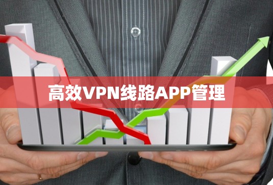 高效VPN线路APP管理