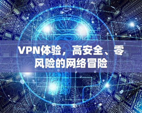 VPN体验，高安全、零风险的网络冒险