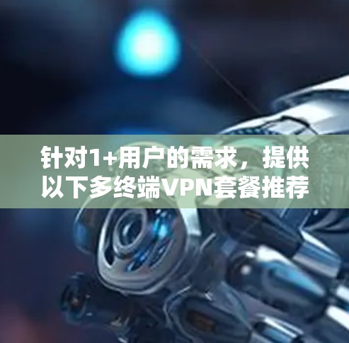 针对1+用户的需求，提供以下多终端VPN套餐推荐，确保稳定、安全且灵活的体验