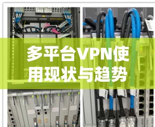 多平台VPN使用现状与趋势分析