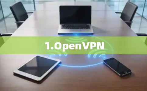 1.OpenVPN