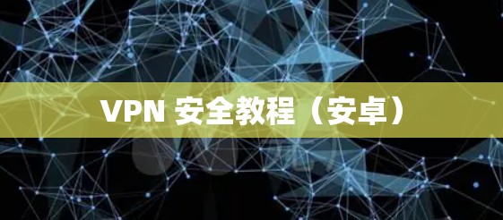 VPN 安全教程（安卓）