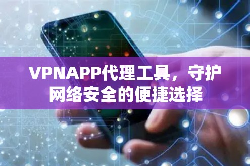VPNAPP代理工具，守护网络安全的便捷选择