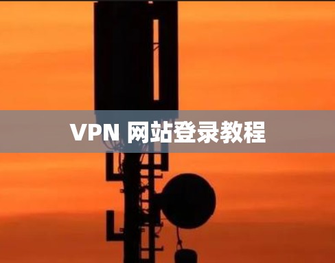 VPN 网站登录教程