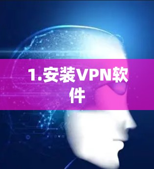 1.安装VPN软件