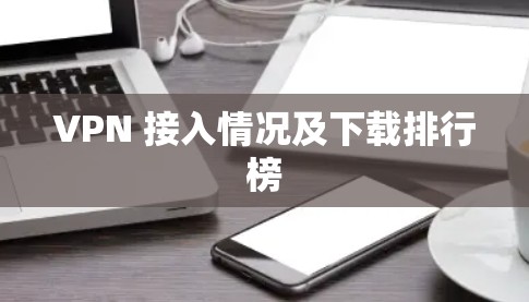 VPN 接入情况及下载排行榜