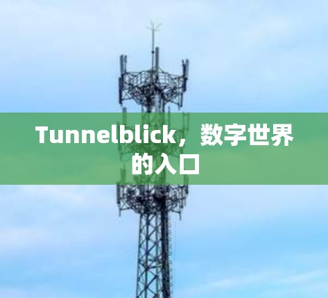 Tunnelblick，数字世界的入口