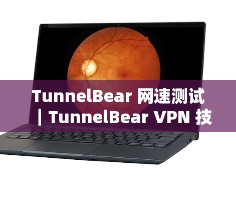 TunnelBear 网速测试｜TunnelBear VPN 技术解析