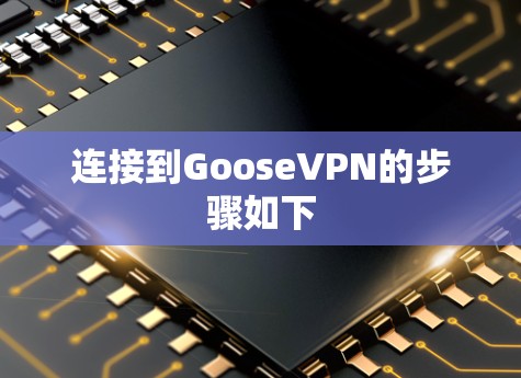 连接到GooseVPN的步骤如下