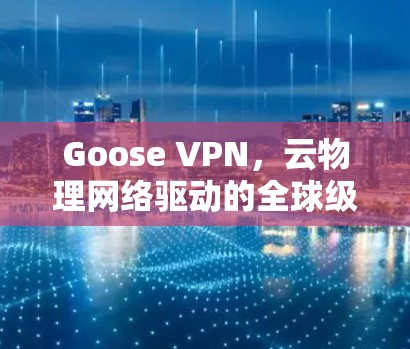 Goose VPN，云物理网络驱动的全球级VPN解决方案