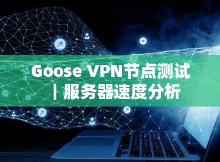 Goose VPN节点测试｜服务器速度分析
