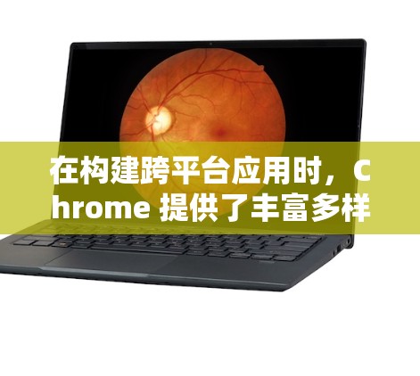 在构建跨平台应用时，Chrome 提供了丰富多样的扩展工具，这些工具帮助开发者高效地开发与测试。以下是使用扩展工具的指南