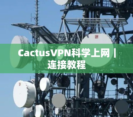 CactusVPN科学上网｜连接教程