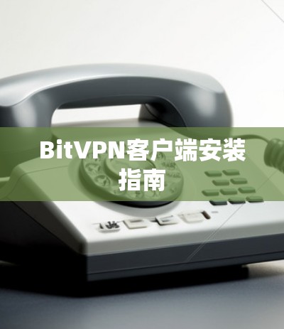 BitVPN客户端安装指南